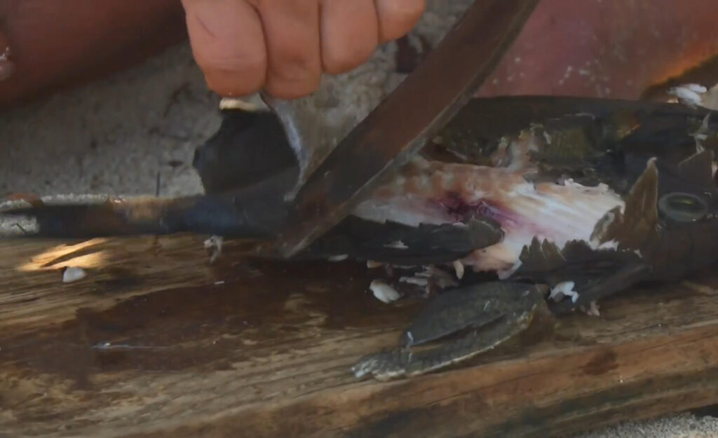 Jeff Zausch processing a fish with the SLYSTEEL Survival Kukri in the Bahamas on Naked and Afraid of Sharks 2